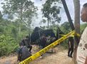 Tim Gabungan Polda Jambi Bersama Polres Batang Hari Dan Denpom 2 Sriwijaya Tutup Kegiatan Ilegal Drilling