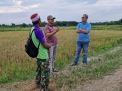 Dukung Swasembada Pangan, Anggota DPRD Provinsi Jambi Muhammad Nasir Apresiasi Semangat Poktan di Kota Jambi Kelola Sawah