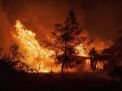 Kebakaran Hebat di Los Angeles Diperparah oleh Angin Santa Ana