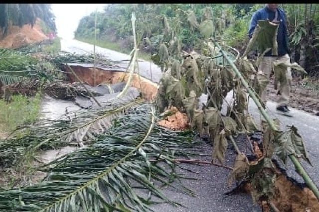 Akibat Penggalian  Parit Gajah Akses Jalan Desa Petajen Terputus